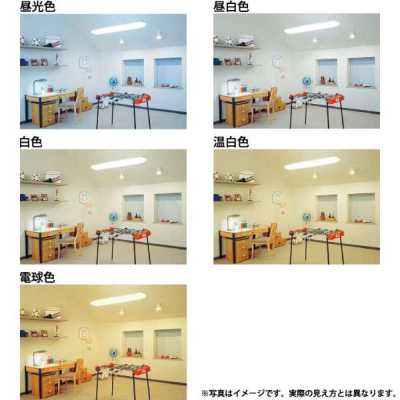 FL20SSEXD18F3 パナソニック 直管蛍光灯 20W形 3波長形昼光色 グロー