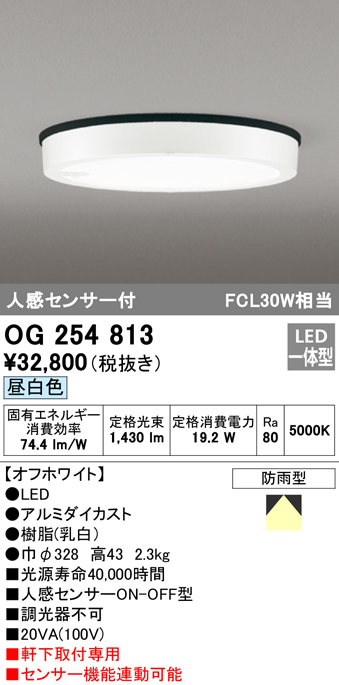 OG254813 オーデリック LED軒下灯 FCL30W相当 昼白色 人感センサー付