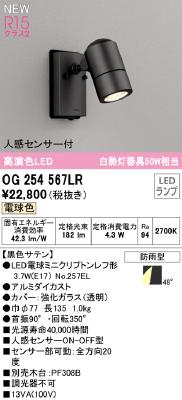 OG254567LR オーデリック LEDスポットライト 白熱球50W相当 電球色 人
