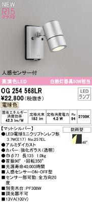 OG254568LR オーデリック エクステリア スポットライト 人感