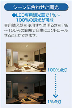 DDL4971AWG 大光電機 ダウンライト 埋込穴Φ100 白熱灯器具200W相当 温