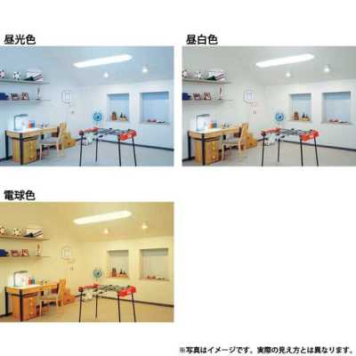 LDA4LGK40W2 東芝 LED電球 一般電球タイプ 40W形相当 電球色 LDA4LGK40W2 東芝 LED電球 一般電球タイプ 40W形相当 電球色